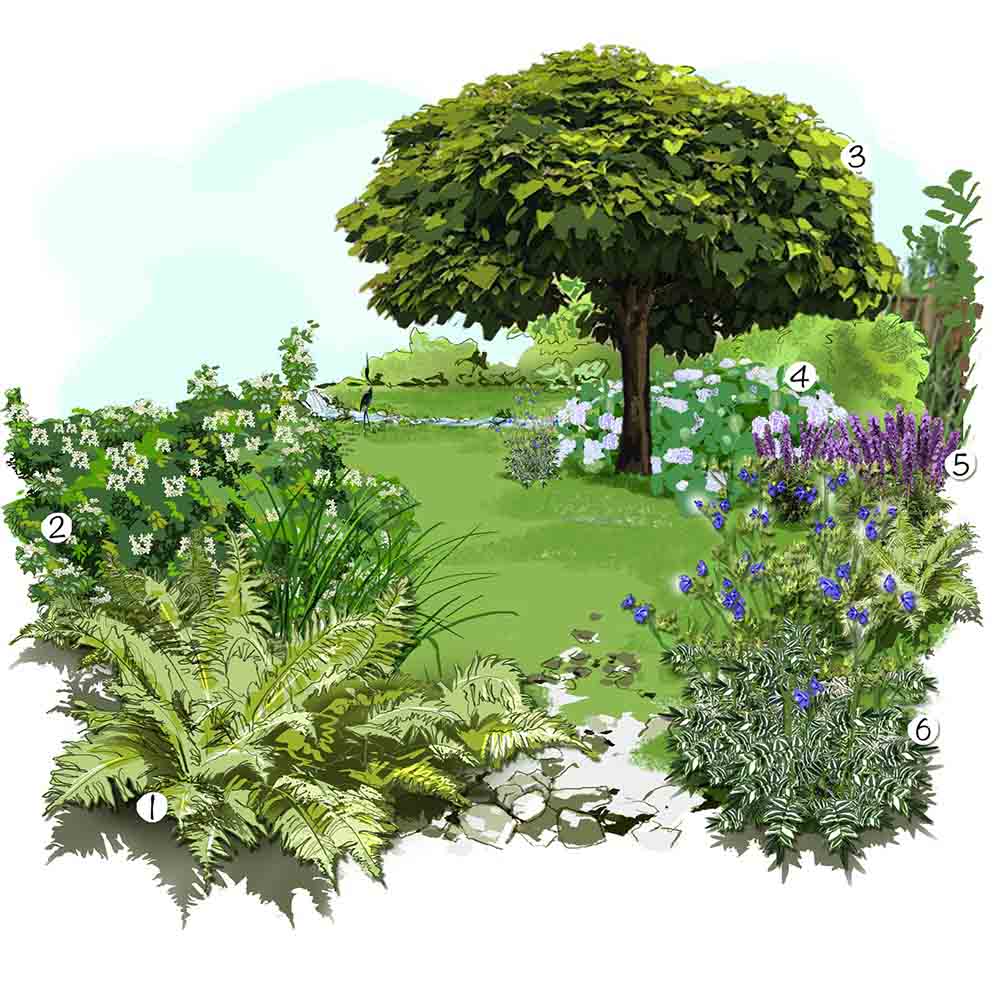 Un jardin rafraichissant