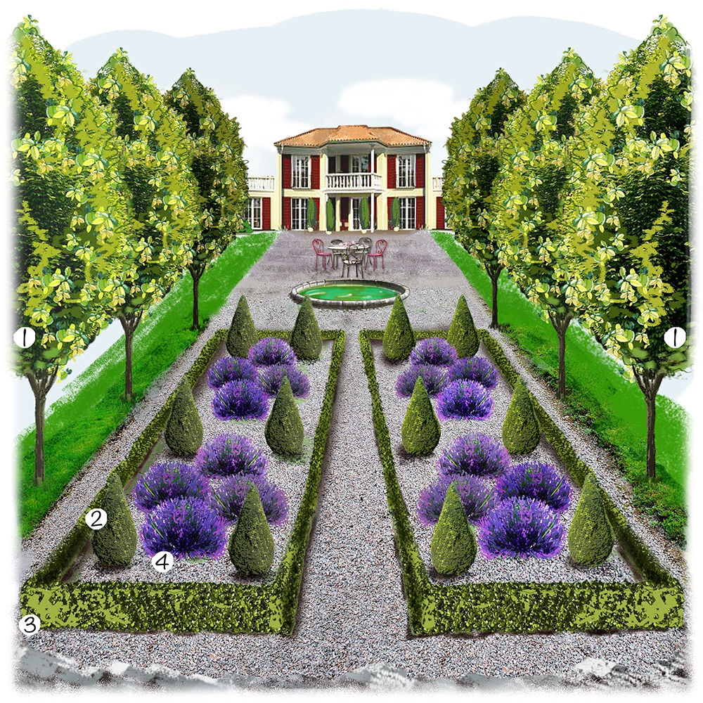 Jardin taillé formé 