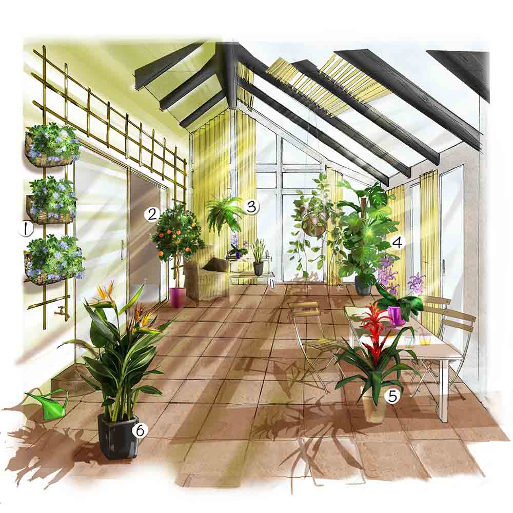 Aménager un jardin dans une véranda