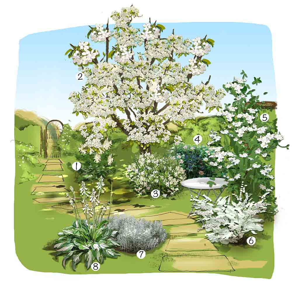 Jardin Monochrome blanc 