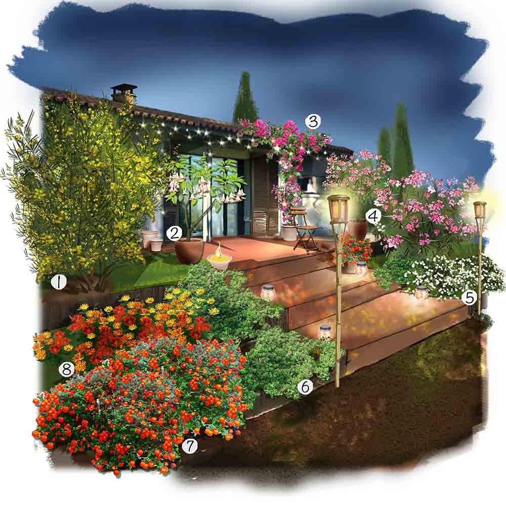 Jardin plein sud la nuit