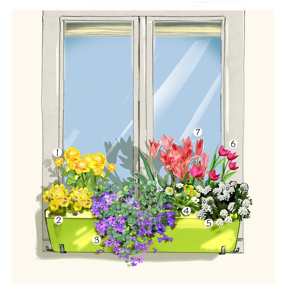 Décoration pour une belle fenêtre au printemps