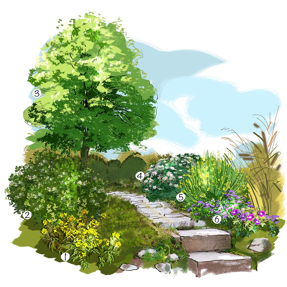 Promenade parfumée au jardin