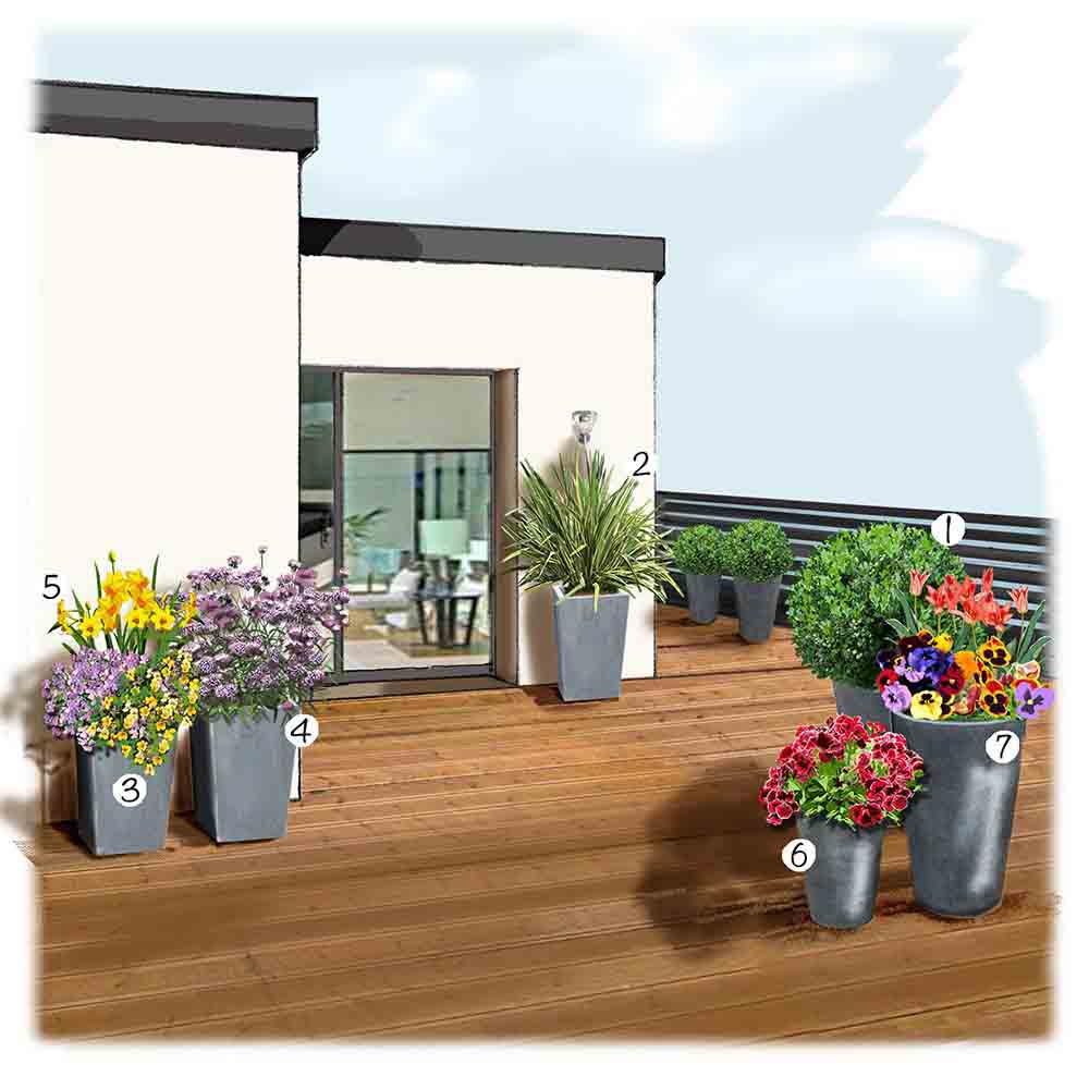 Recettes végétales printanières