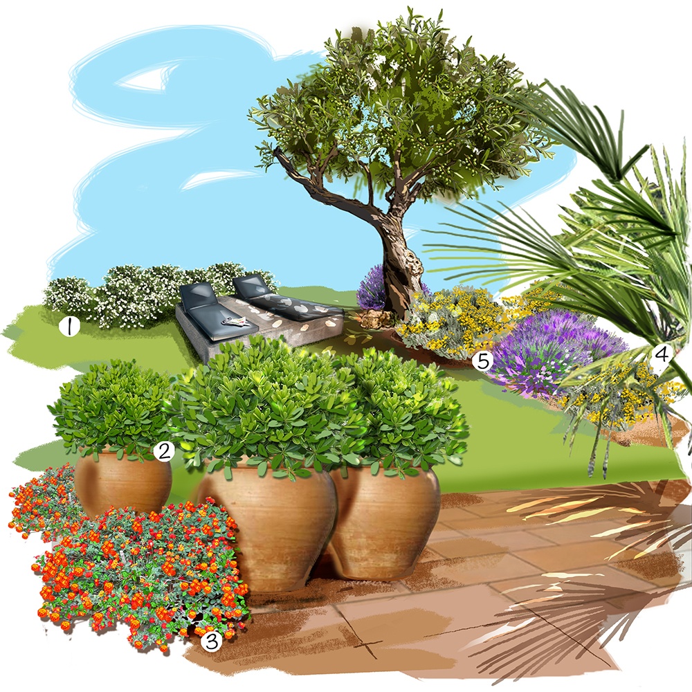 Souvenirs de vacances au jardin