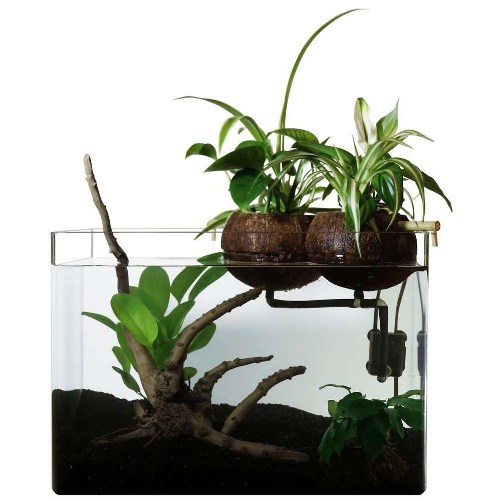Kit de filtration naturelle Coco80 aquaponie pour aquarium Truffaut