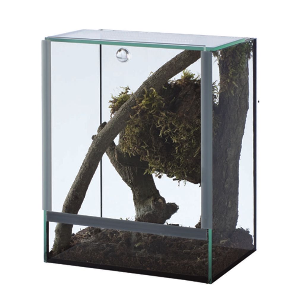 Terrarium insectes Aquavie | Truffaut