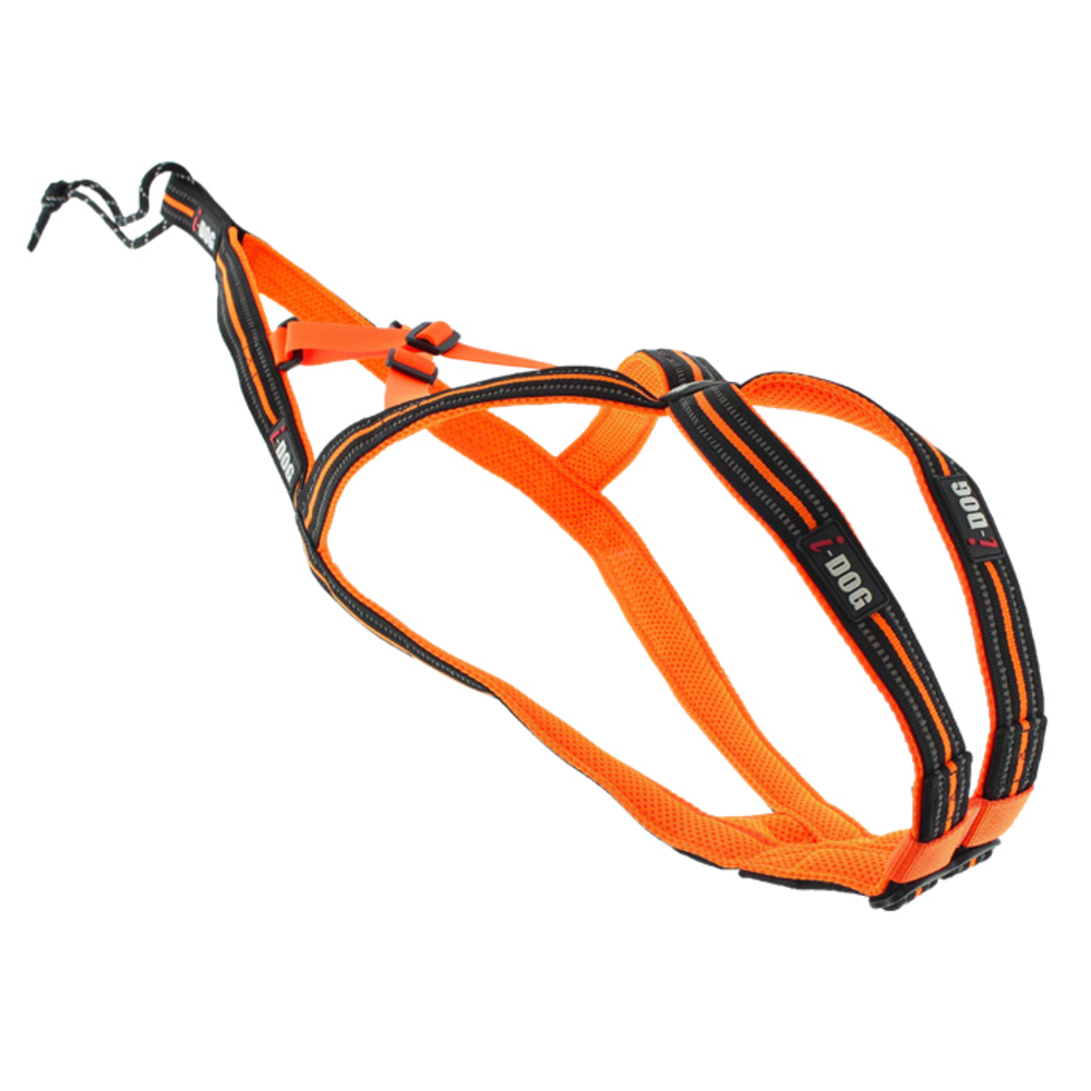Laisse Canicross - Ceinture Mains Libres Pour Chien - Avec Laisse élastique Et Collier - Pour Chiens Moyens/grands