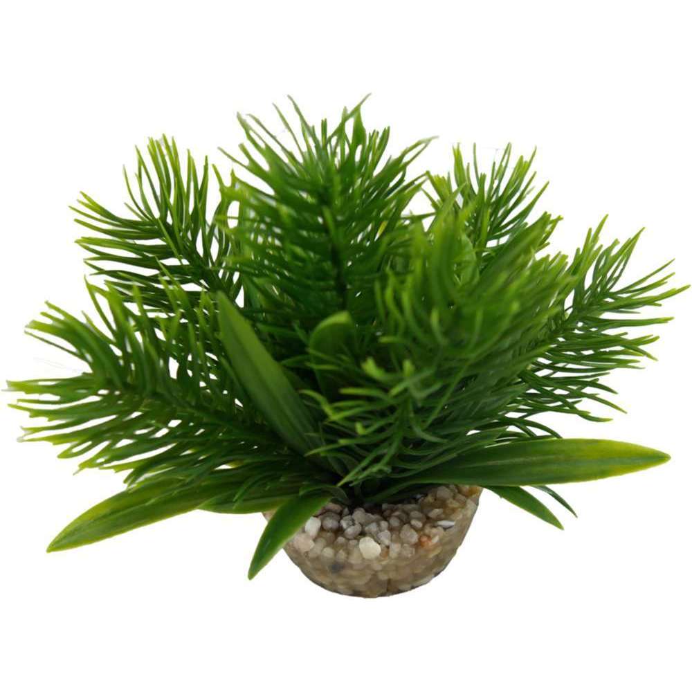 Plante artificielle pour aquarium H10cm Labeo Truffaut