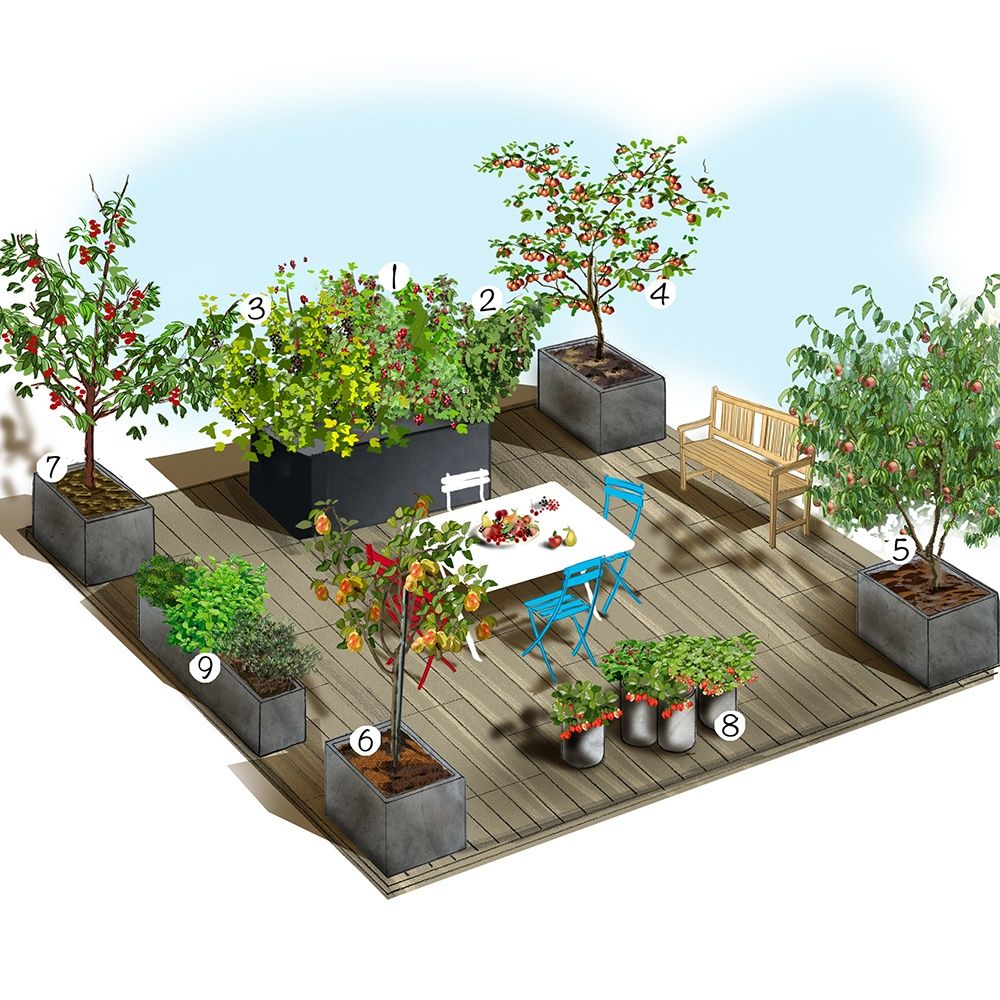 Sitemapcdatahttpswen2windecoocomtable Jardin Truffautnull