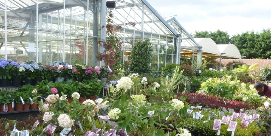 jardinerie gazeran rambouillet yvelines 78 truffaut