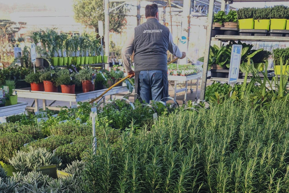 jardinerie althen des paluds les jardins de provence truffaut