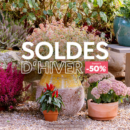 C'est les soldes !