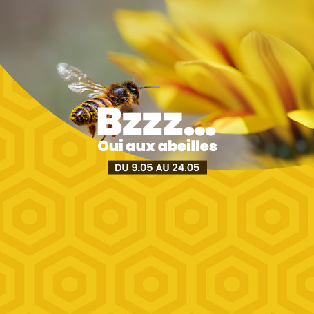 Oui aux abeilles !