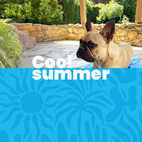 Cool Summer !