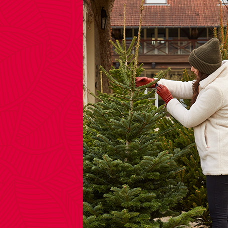 1ʳᵉ surprise sous le sapin ! 