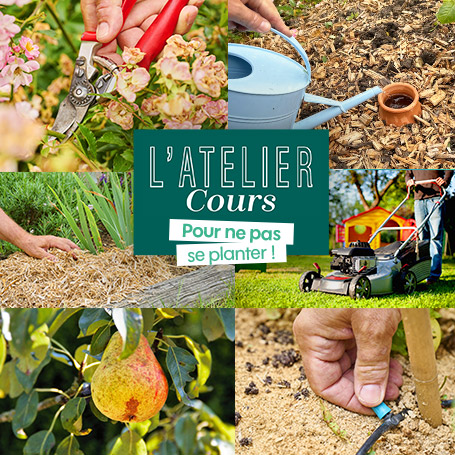 NOUVEAU : Ateliers-cours