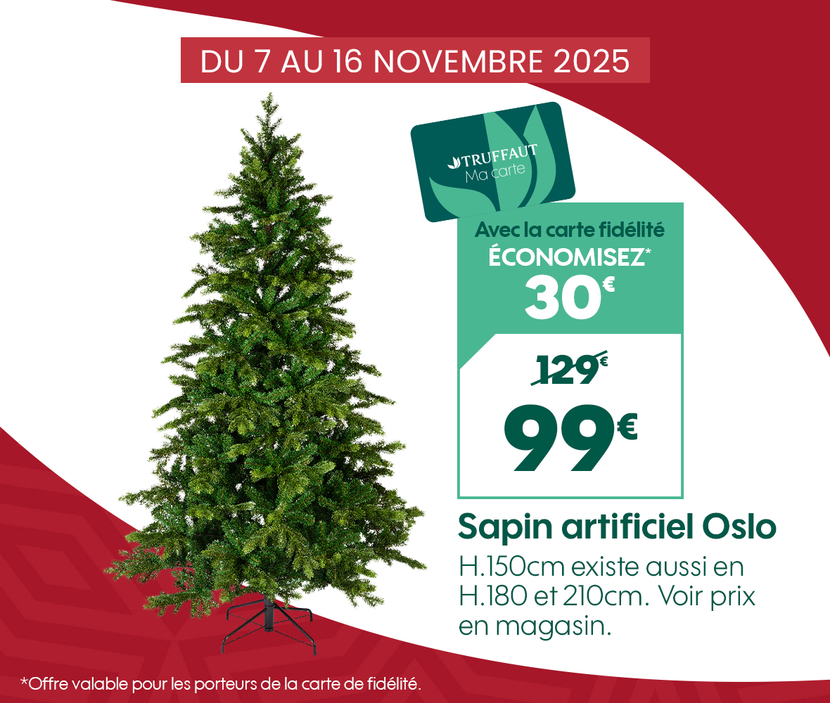 Préparez votre maison pour Noël 