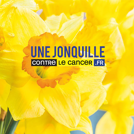 Soutenez une Jonquille pour Curie