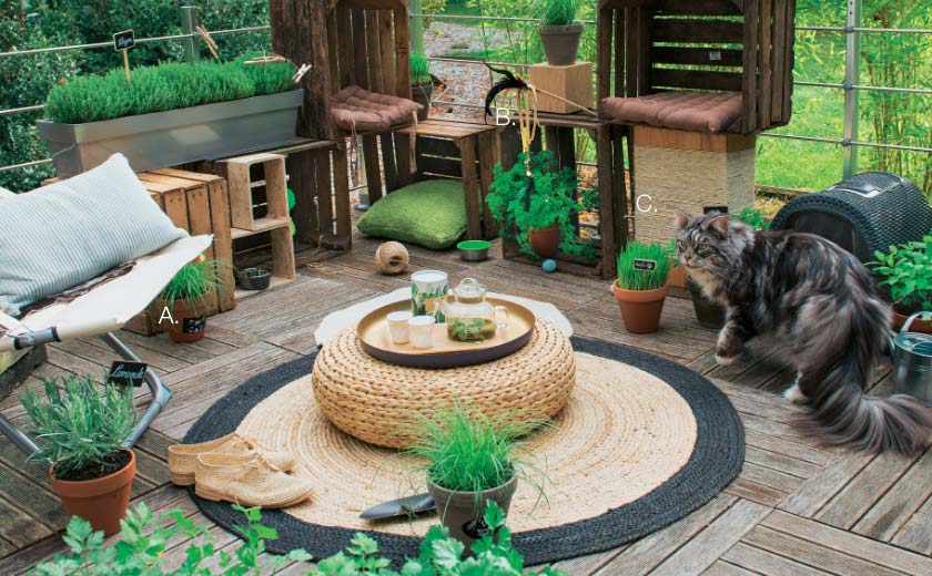 Aménager un jardin de plantes pour chat