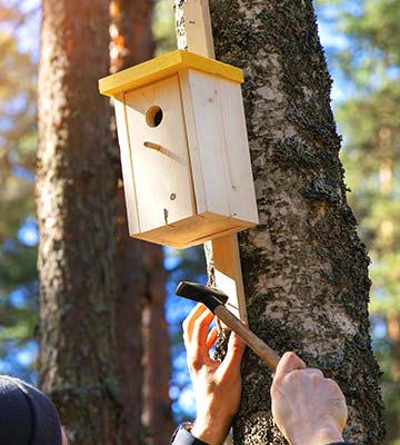 Pour fixer une cabane à oiseaux