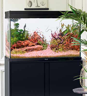 Aquarium aménagé