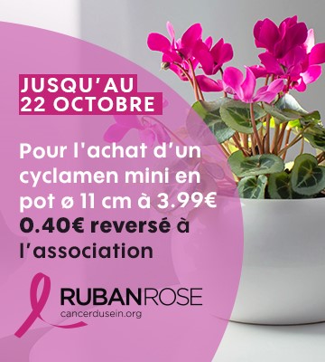 Truffaut et Ruban Rose