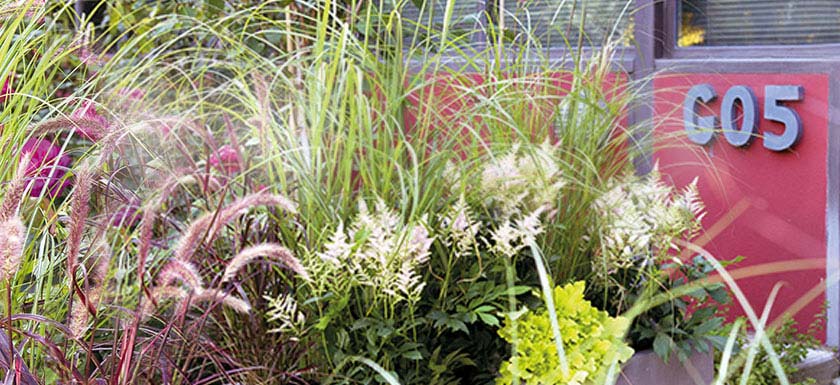 Festival Jardins Jardin