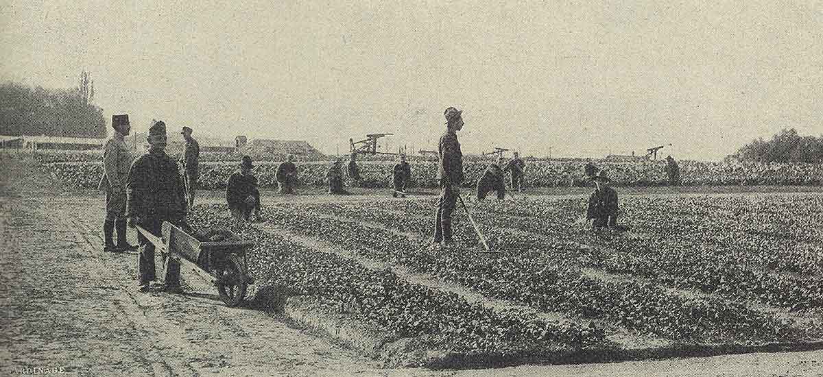 Le Lieutenant Georges TRUFFAUT et ses soldats jardiniers de l'armée américaine.