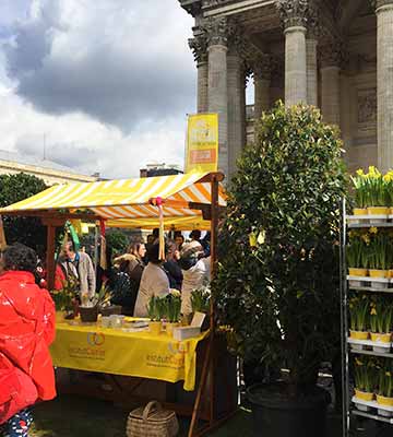 Les jardineries Truffaut et les partenariats