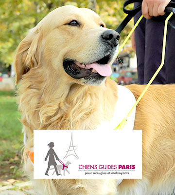 Ecole des chiens guides d'aveugles