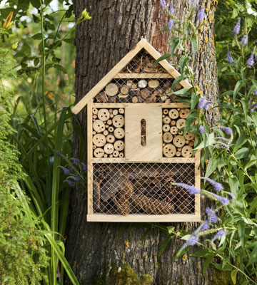 Favorisez la biodiversité