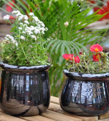 bacs à plantes Fleurs-amphores pot de fleurs pour terrasse solitaire comme Antik