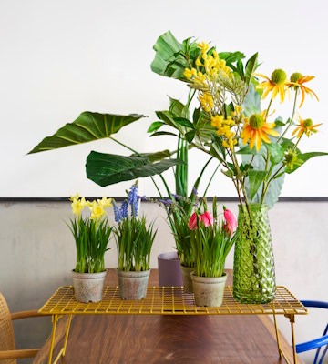 Plantes artificielles