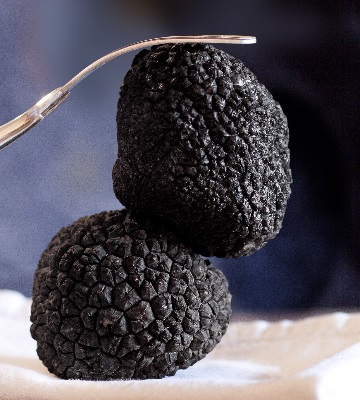 truffe noire