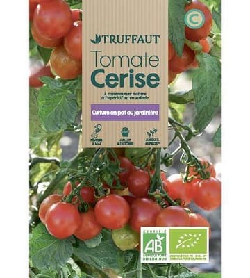 tomates cerises bio