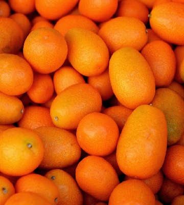 choisir kumquat