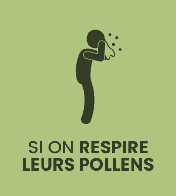 allergies pollen