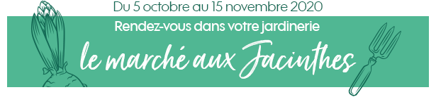 Le marché aux bulbes Le marché aux bulbes