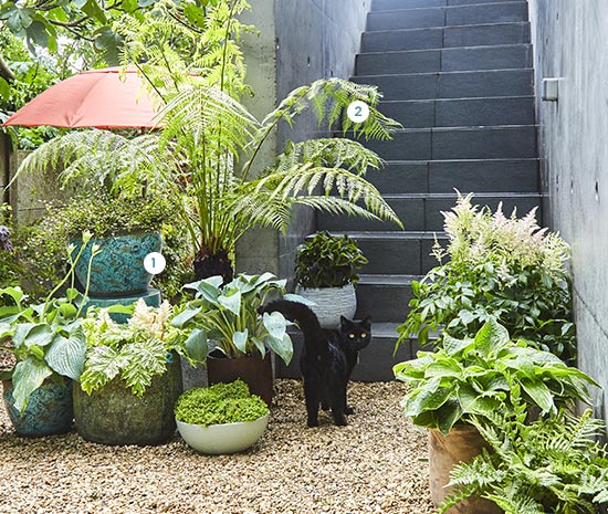 1. Pot Lena En céramique. Ø 46 cm 69€ - 2. Dicksonia antartica Tronc 25/30cm (644978). Pot de 10 litres 119€ 1. Pot Lena En céramique. Ø 46 cm 69€ - 2. Dicksonia antartica Tronc 25/30cm (644978). Pot de 10 litres 119€