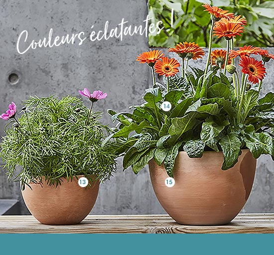 13. Cuvier bas Contemporain “Goicoechea”. En terre cuite Ø 22 x H. 15 cm (584882) 17,15 € - 14. Cosmos : Conteneur 3 litres (158817) 10,50 € - 15. Cuvier bas Contemporain “Goicoechea” En terre cuite Ø 25 x H. 18 cm (584884) 23,95 € 13. Cuvier bas Contemporain “Goicoechea”. En terre cuite Ø 22 x H. 15 cm (584882) 17,15 € - 14. Cosmos : Conteneur 3 litres (158817) 10,50 € - 15. Cuvier bas Contemporain “Goicoechea” En terre cuite Ø 25 x H. 18 cm (584884) 23,95 €