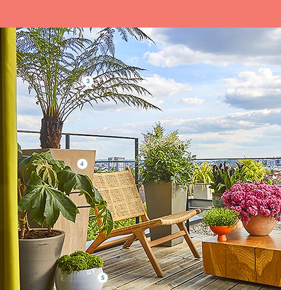 3. Dicksonia antartica Tronc 25/30cm (644978). Pot de 10 litres 119€ - 4. Pot haut Dolmayan, gris ciment L. 42 x l. 42 x H. 90 cm (418293) 79€ - 5. Pot Lisere graphique « Poterie d’Albi » En terre cuite émaillée. Ø 25 cm (747108) 33,95 € 3. Dicksonia antartica Tronc 25/30cm (644978). Pot de 10 litres 119€ - 4. Pot haut Dolmayan, gris ciment L. 42 x l. 42 x H. 90 cm (418293) 79€ - 5. Pot Lisere graphique « Poterie d’Albi » En terre cuite émaillée. Ø 25 cm (747108) 33,95 €