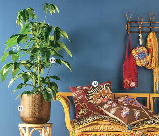 10. Schefflera actinophilla 'Amate' En pot Ø 24 cm. H. 90-100 cm (826878) - 11. Cache-pot Jort En zinc martelé. De Ø 23 à 38 cm. Coloris marron (851267 à 270) - 12. Coussin Charming L. 50 x l. 50 cm. Coloris marron ou rose (837083-084) 10. Schefflera actinophilla 'Amate' En pot Ø 24 cm. H. 90-100 cm (826878) - 11. Cache-pot Jort En zinc martelé. De Ø 23 à 38 cm. Coloris marron (851267 à 270) - 12. Coussin Charming L. 50 x l. 50 cm. Coloris marron ou rose (837083-084)