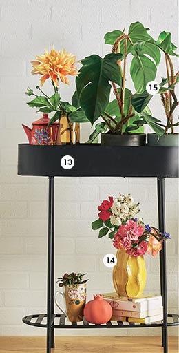 13. Jardinière Melle En métal. L. 59,5x H. 70 cm. Coloris noir (837222) - 14. Vase Hilary En céramique H. 18 cm (838740) - 15. Philodendron squamiferum En pot Ø 15 cm (870238) 13. Jardinière Melle En métal. L. 59,5x H. 70 cm. Coloris noir (837222) - 14. Vase Hilary En céramique H. 18 cm (838740) - 15. Philodendron squamiferum En pot Ø 15 cm (870238)