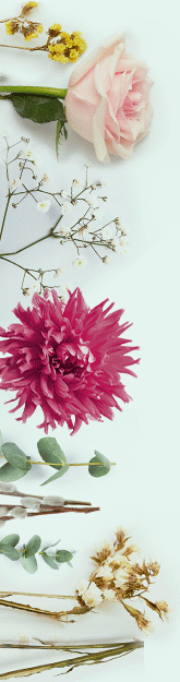 Fleurs de France Fleurs de France