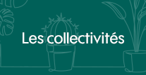 Les collectivités Les collectivités