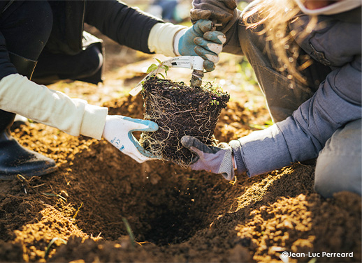 Truffaut agit pour la biodiversité