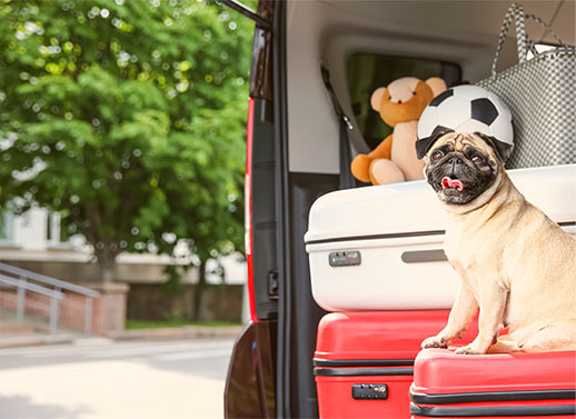 Les valises sont-elles faites ?
