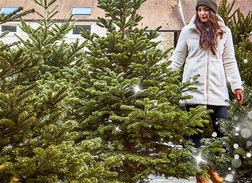 Un sapin c'est obligé