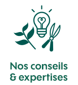 Nos conseils & expertises